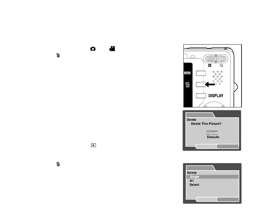 Page #44 background image