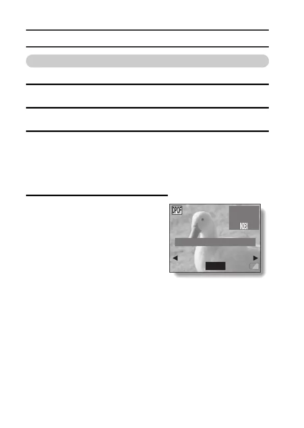 Page #114 background image