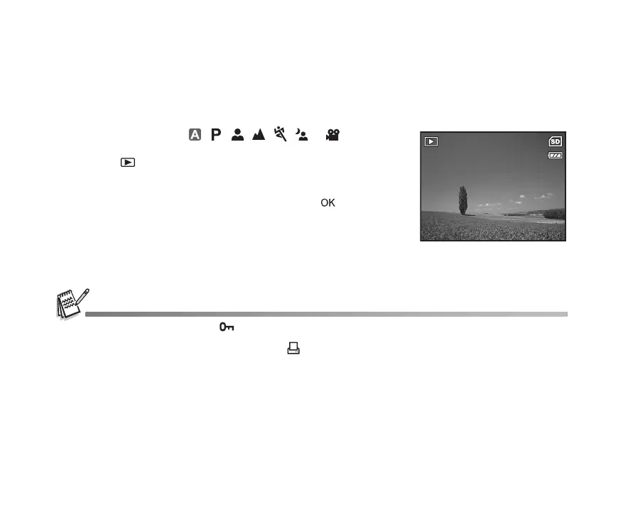 Page #39 background image