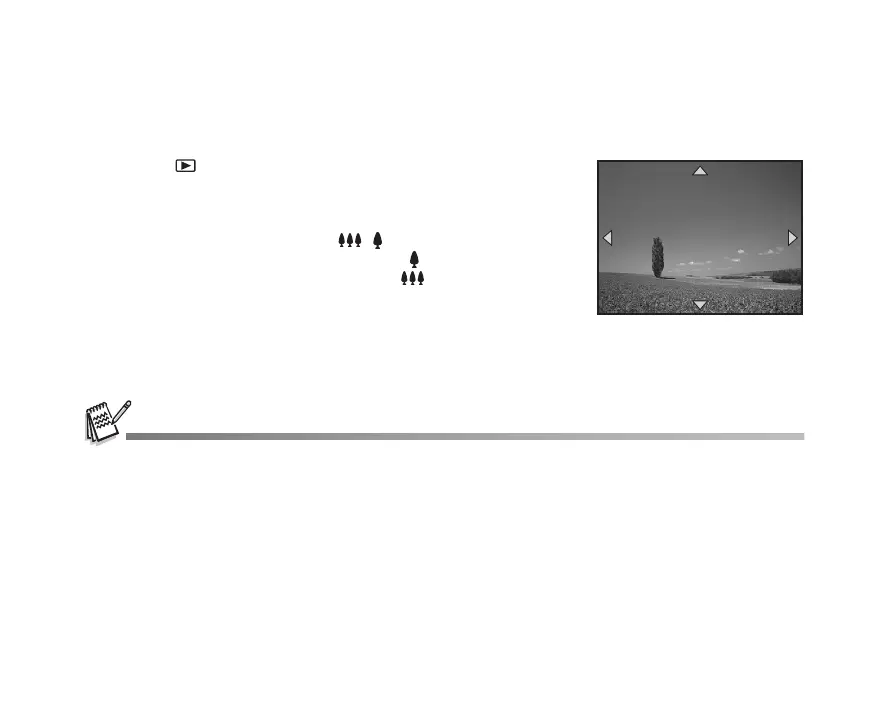 Page #40 background image