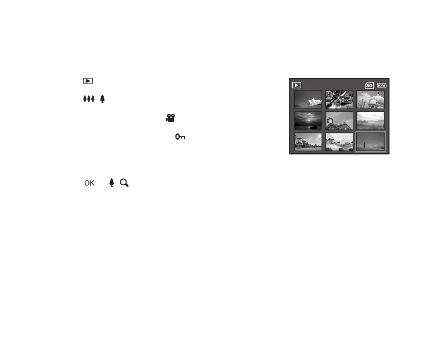 Page #41 background image