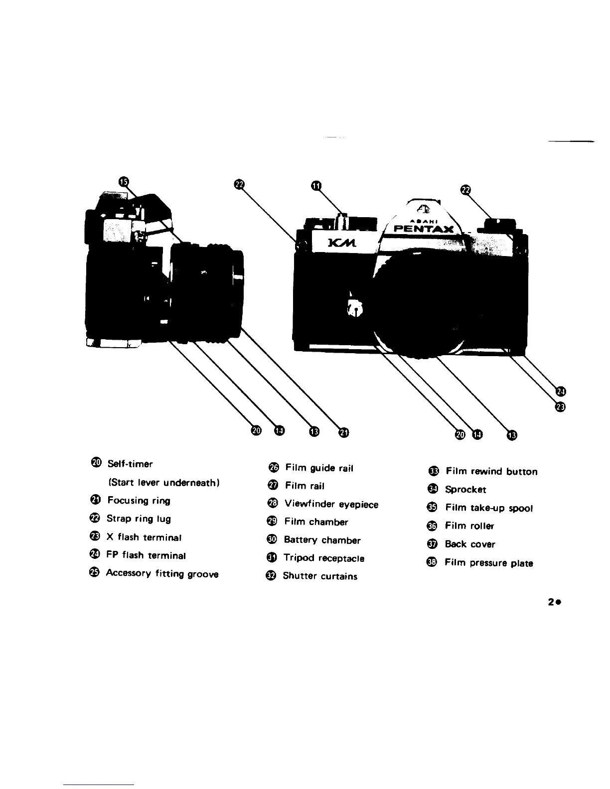 Page #4 background image