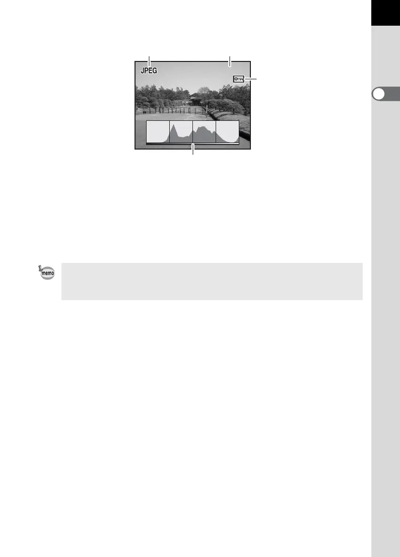 Page #21 background image