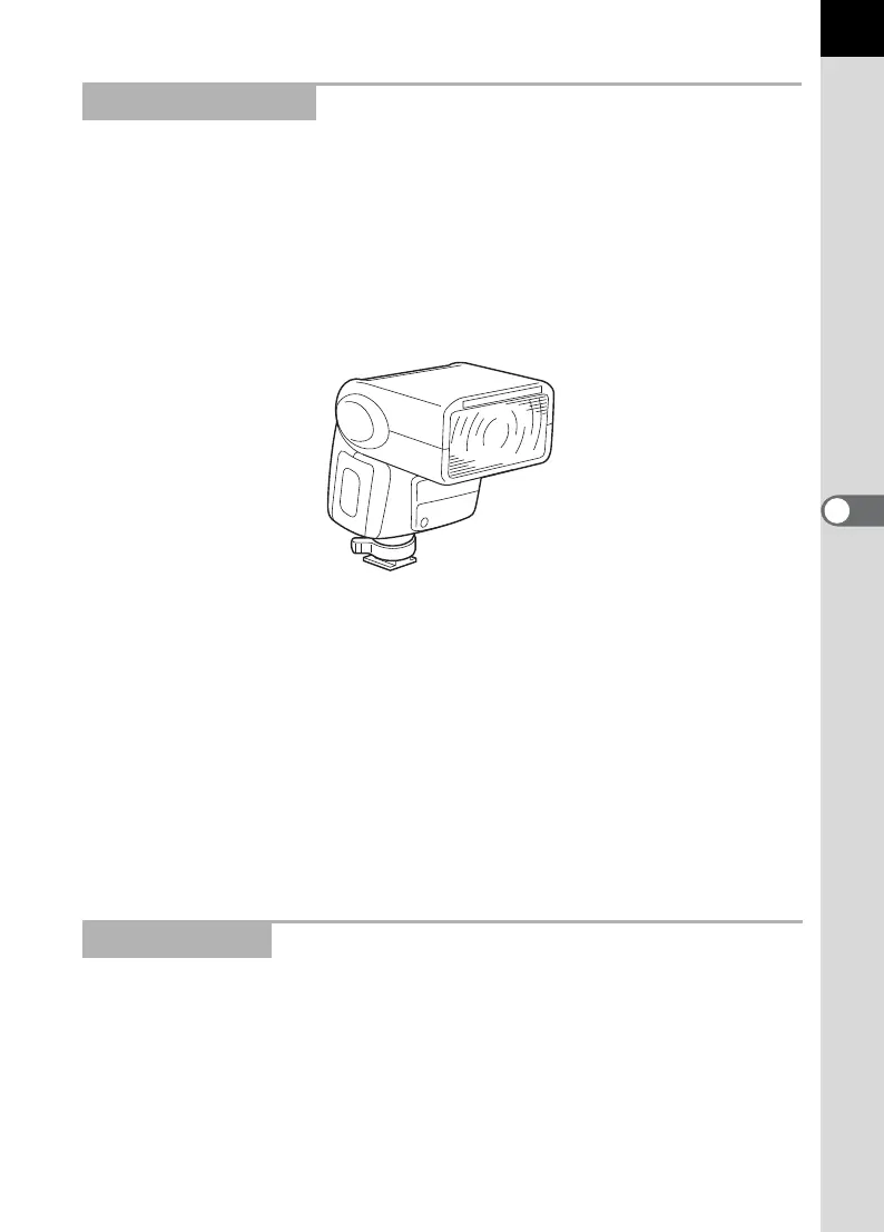 Page #217 background image