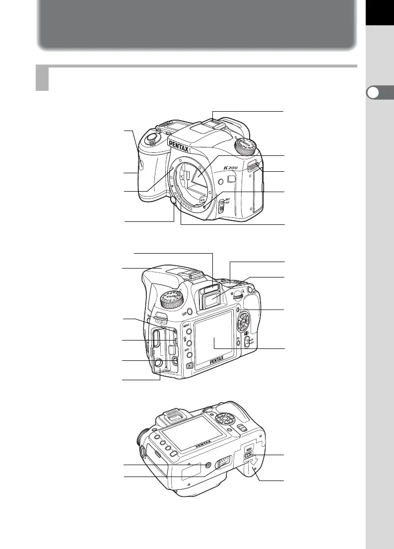 Page #19 background image