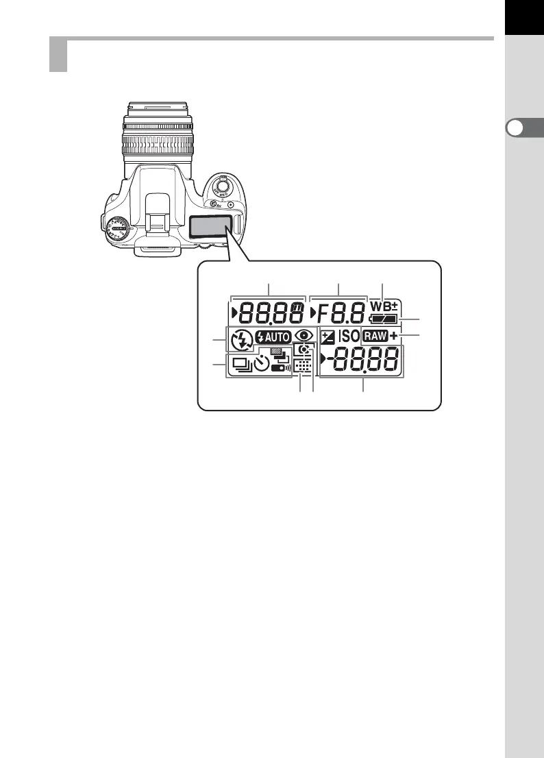 Page #31 background image