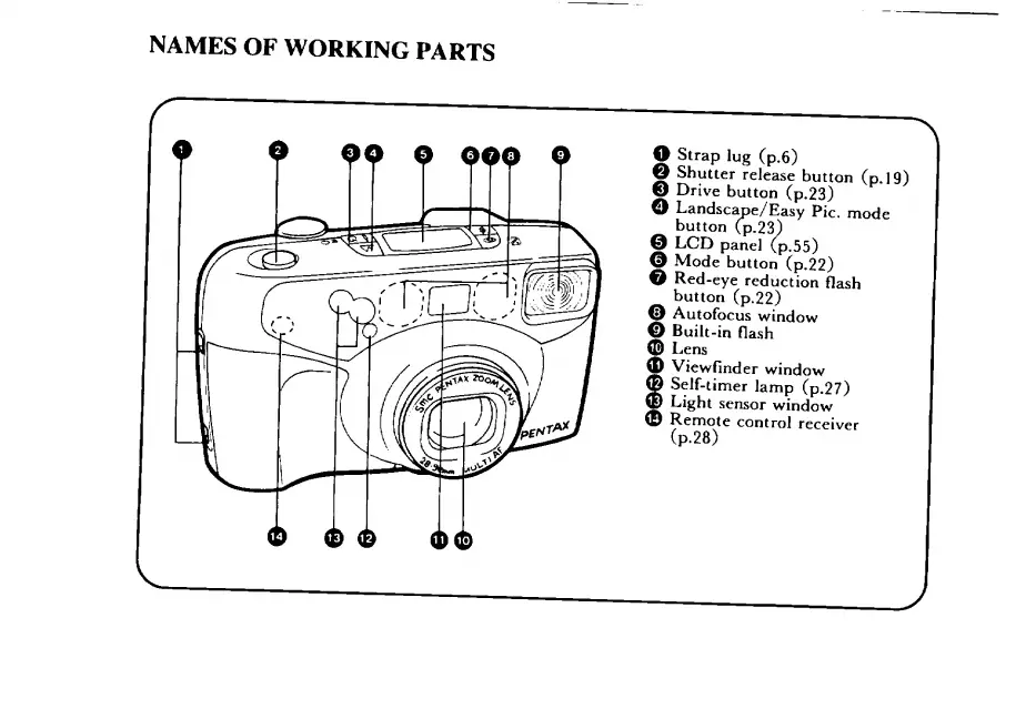 Page #4 background image