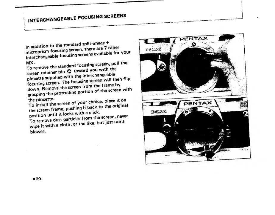 Page #31 background image