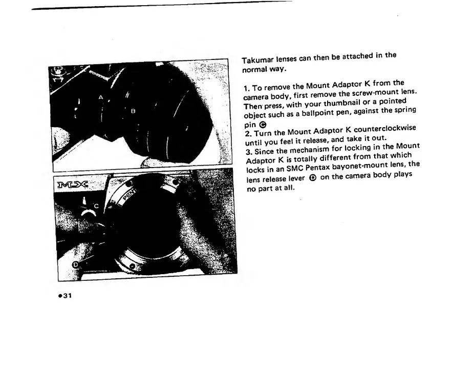 Page #33 background image