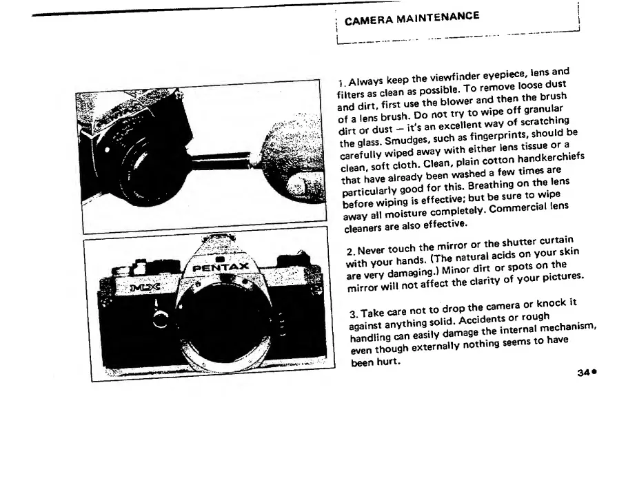 Page #36 background image