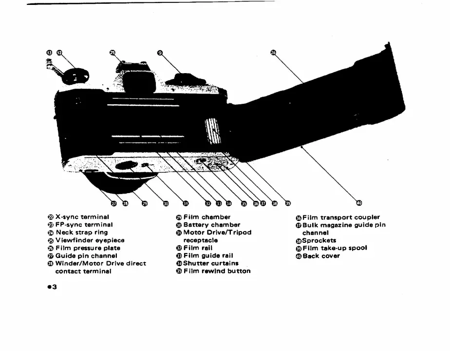 Page #5 background image