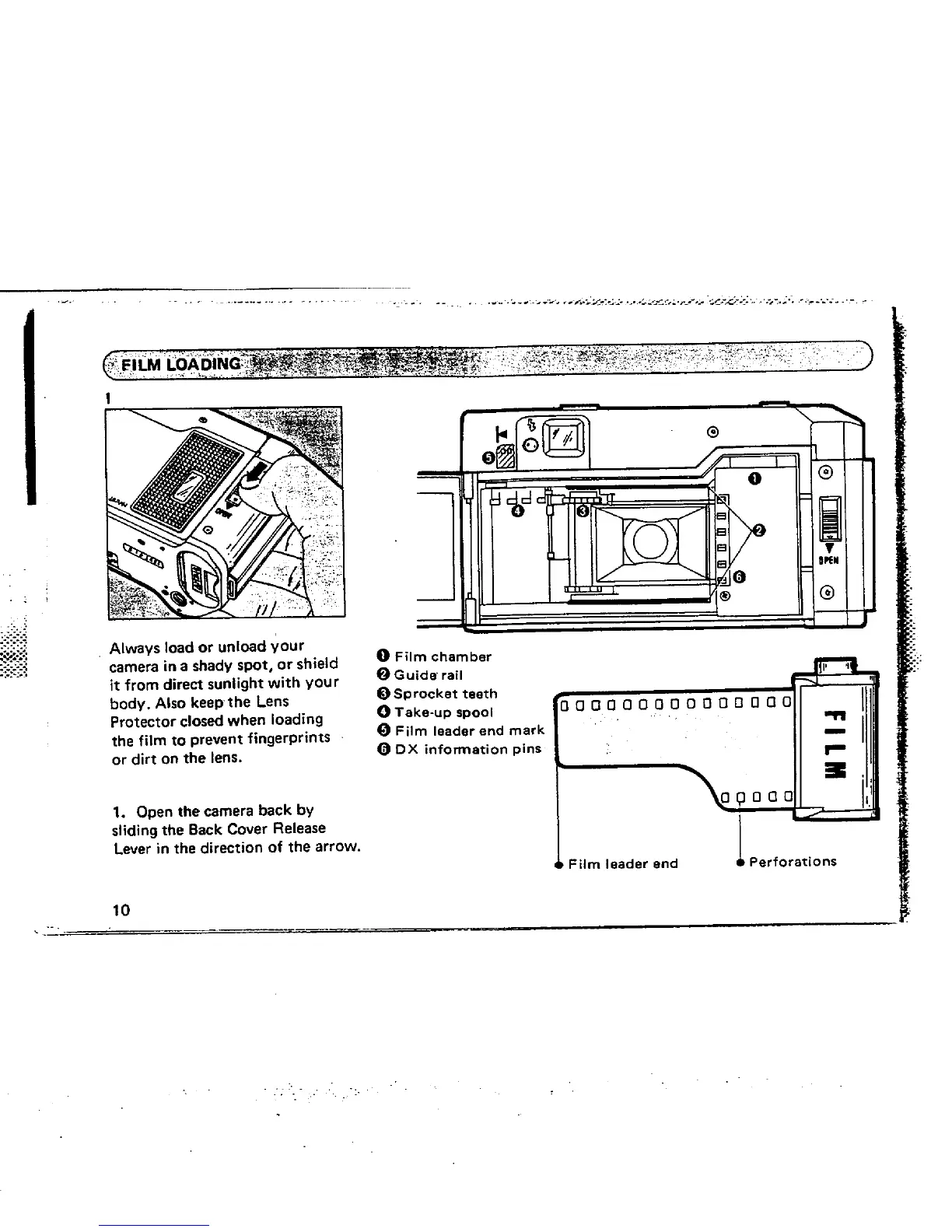 Page #12 background image