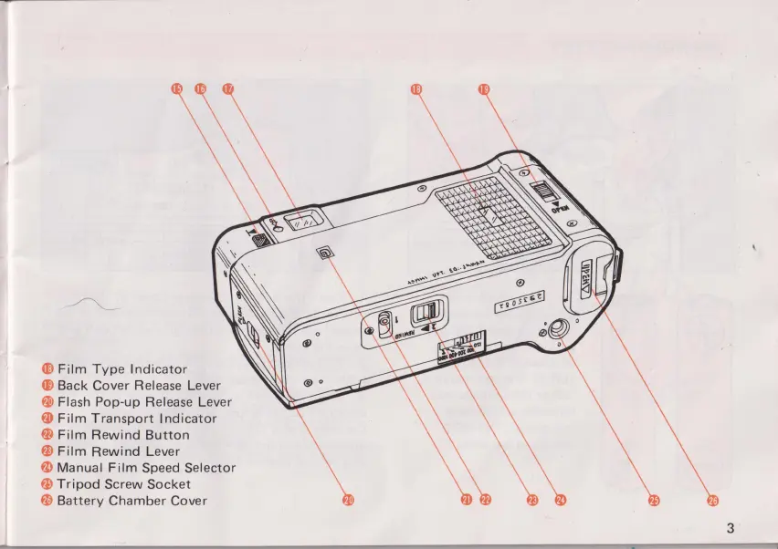 Page #5 background image
