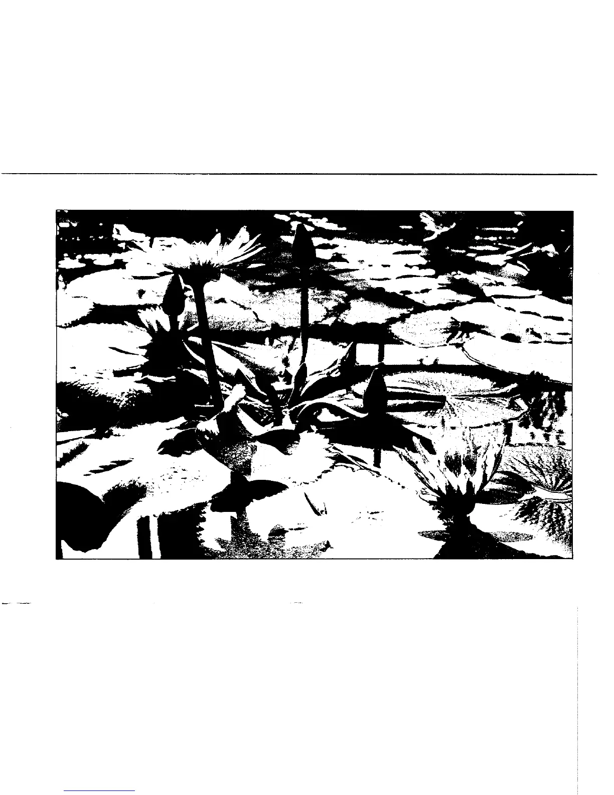 Page #135 background image