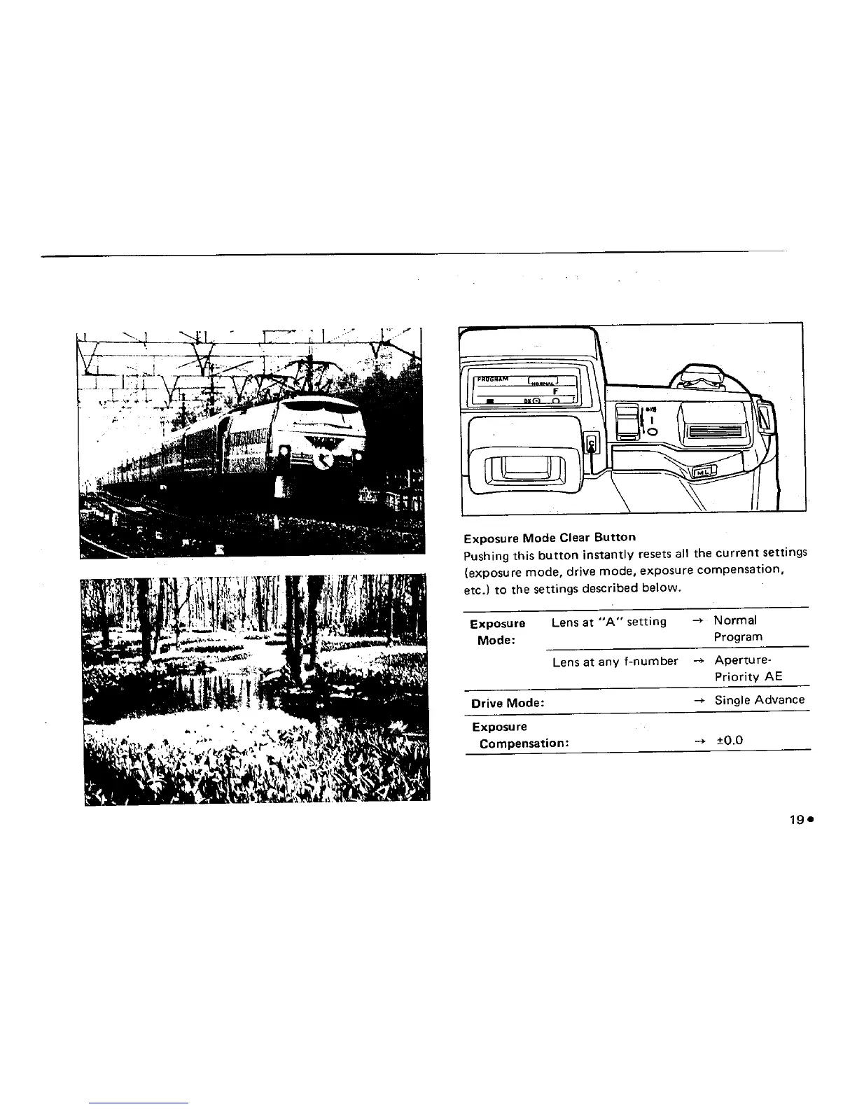 Page #23 background image