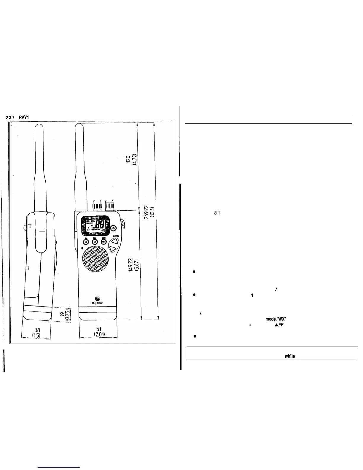 Page #8 background image
