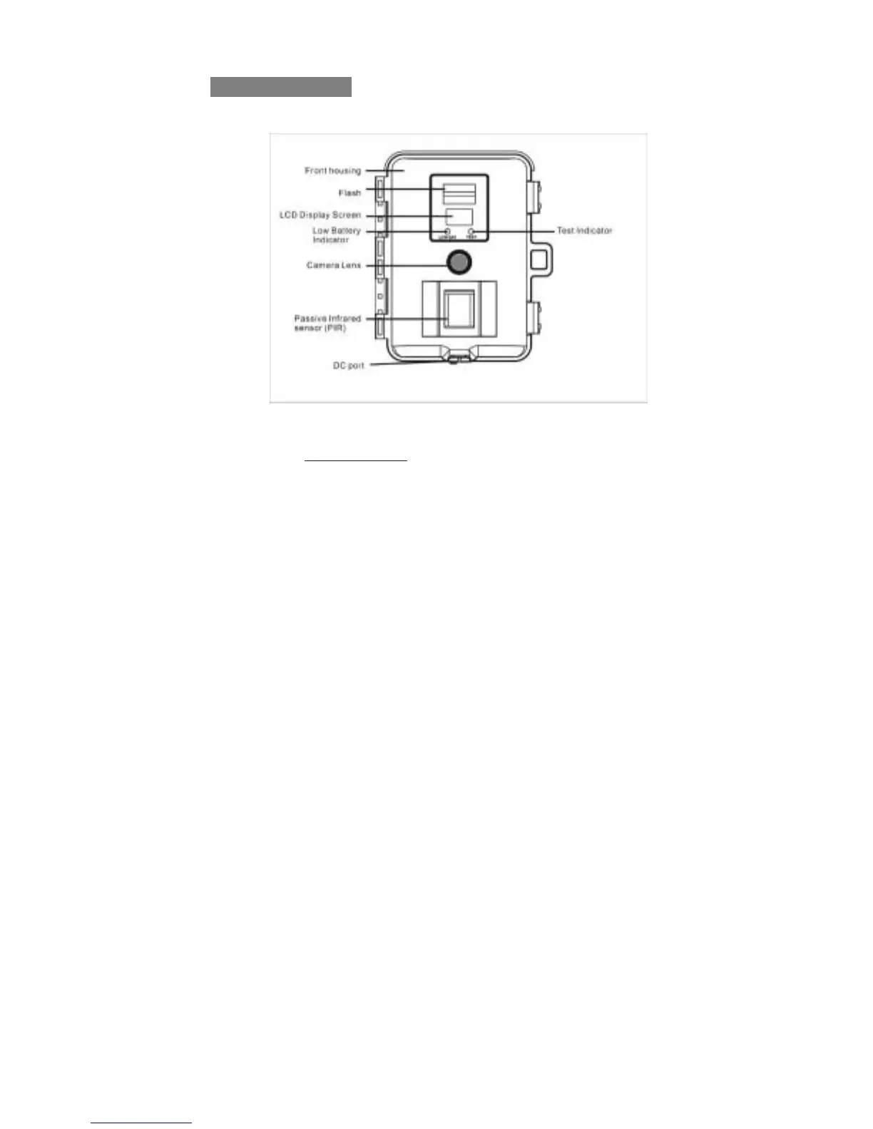 Page #4 background image