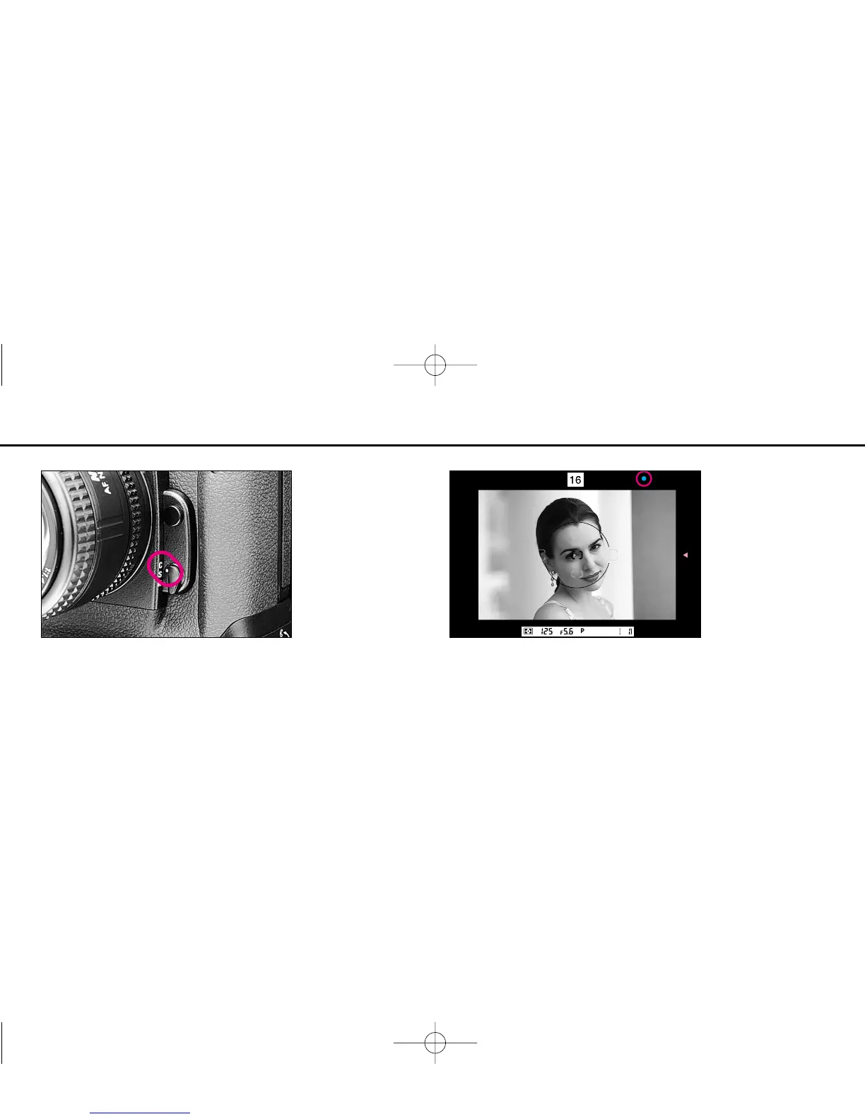 Page #44 background image