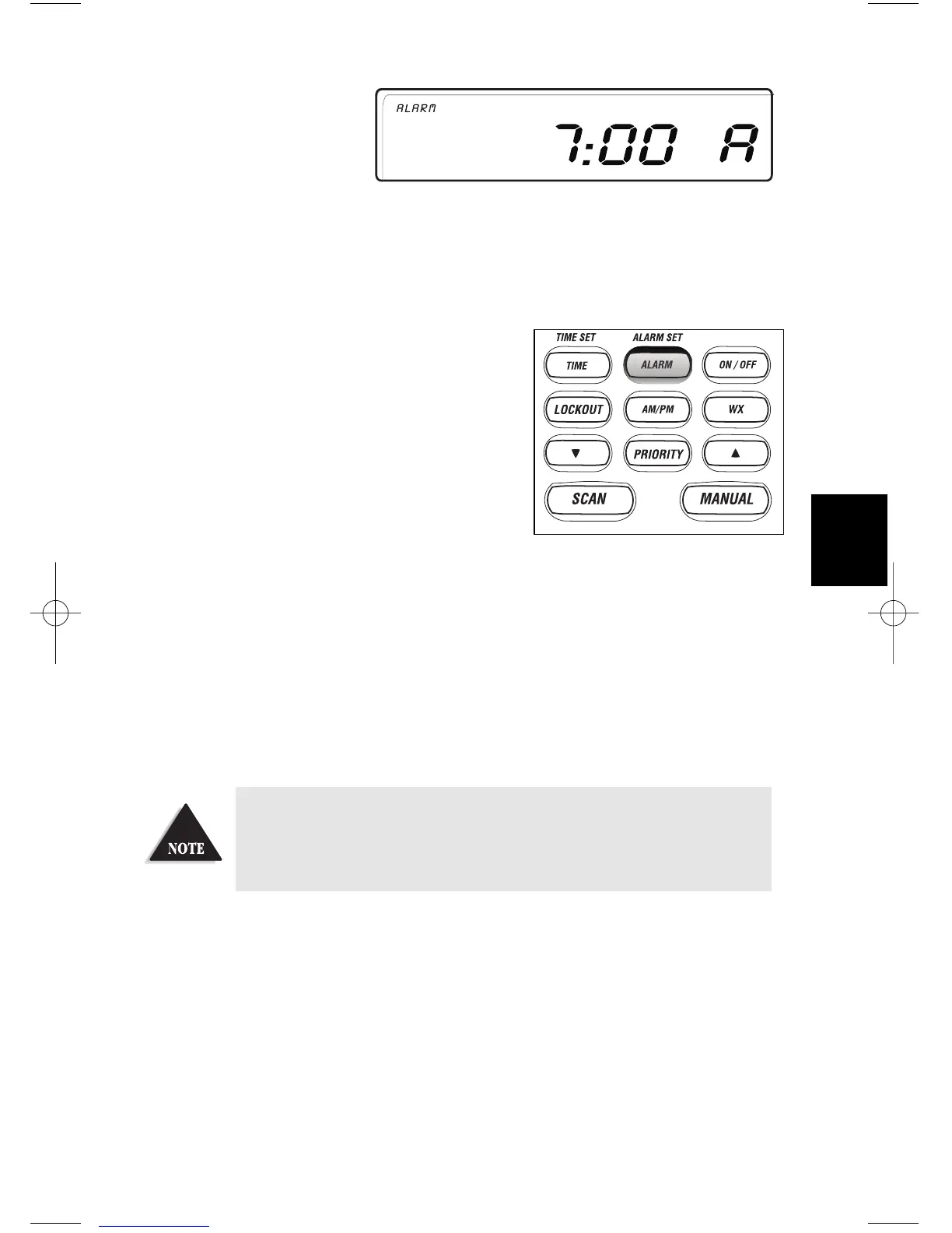 Page #13 background image
