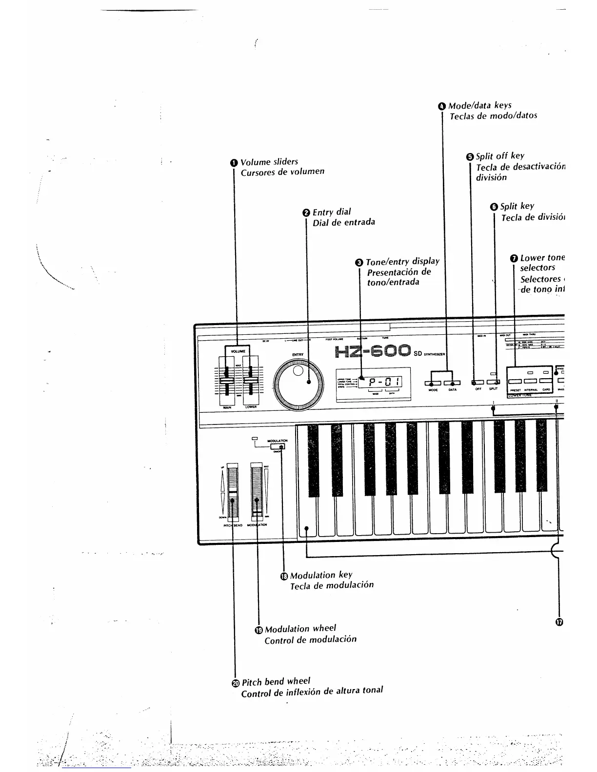 Page #3 background image