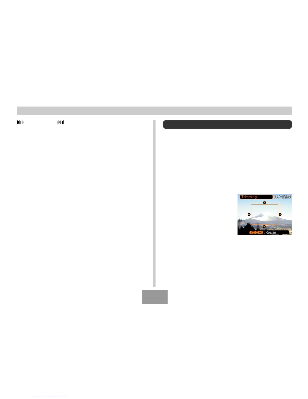 Page #111 background image