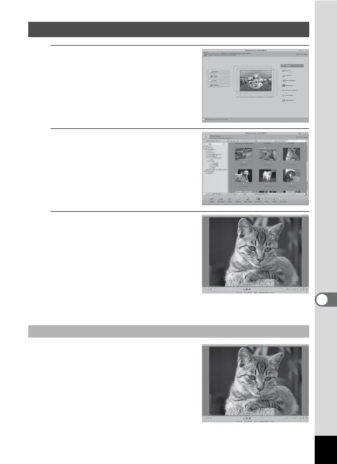 Page #231 background image