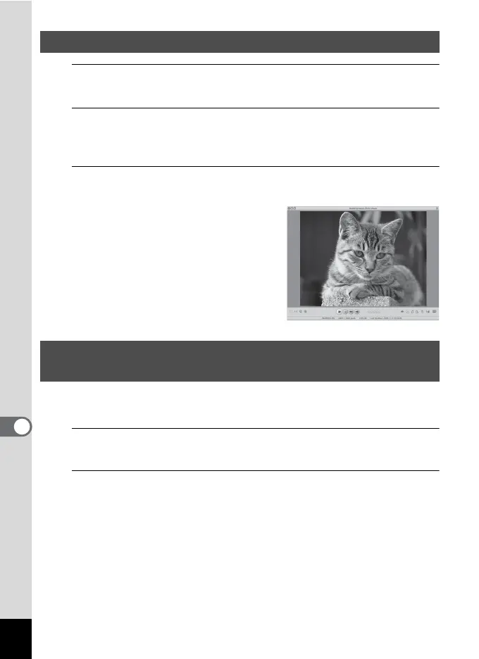 Page #238 background image