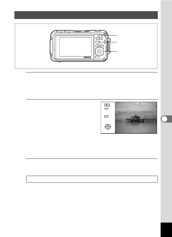 Page #231 background image