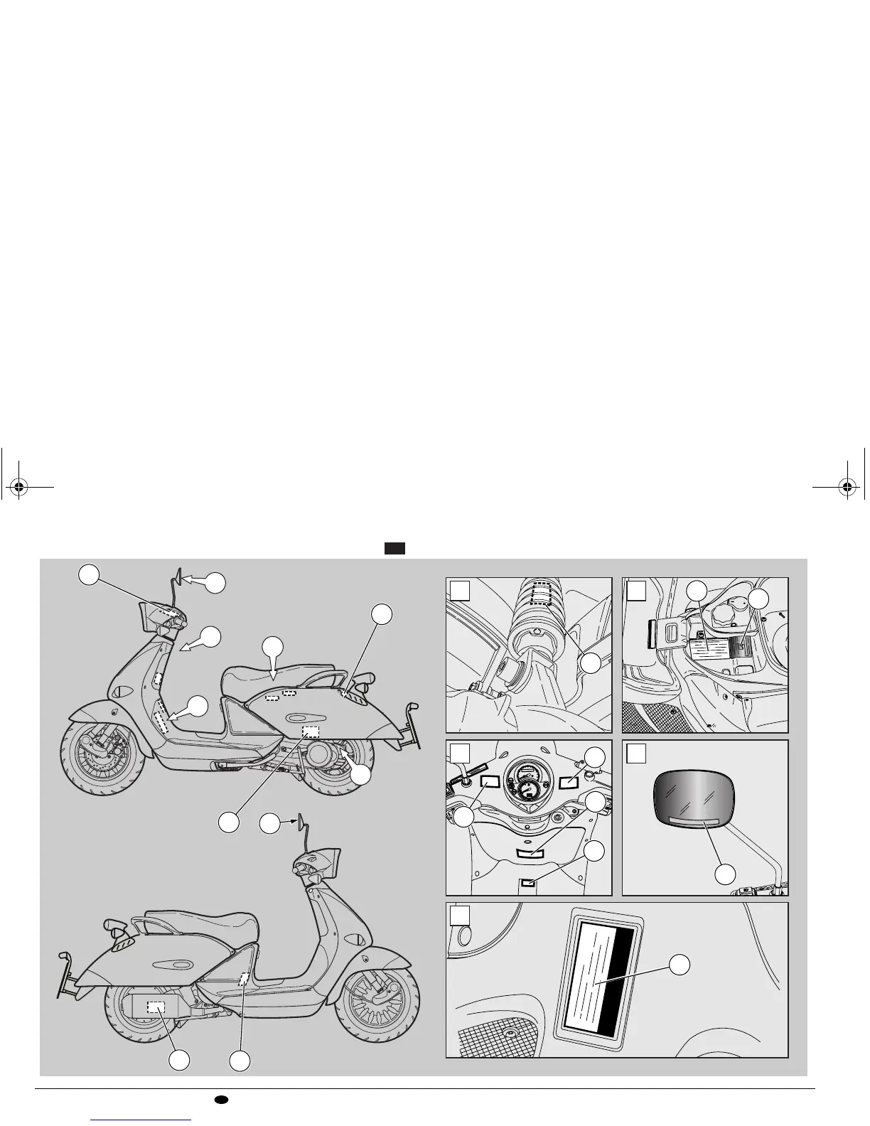 Page #8 background image