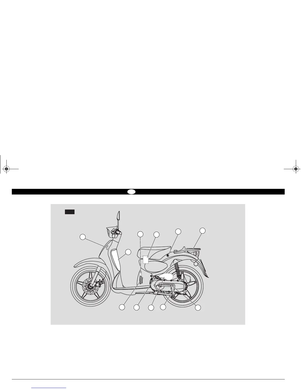 Page #10 background image