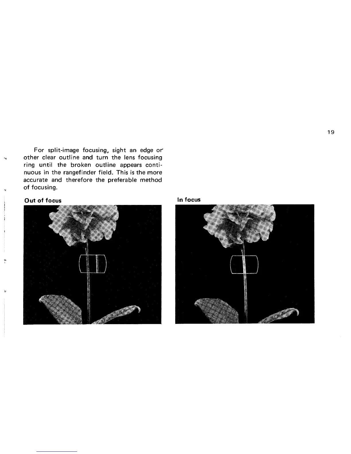 Page #21 background image