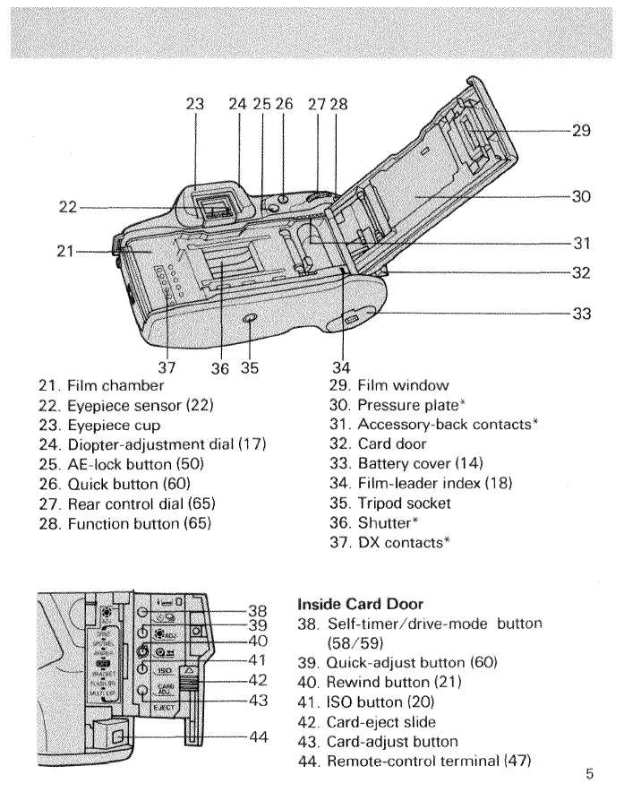 Page #7 background image