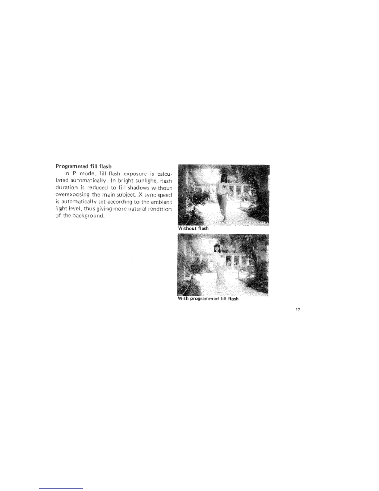 Page #21 background image