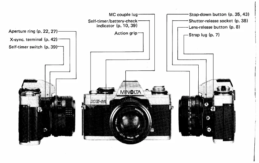 Page #4 background image