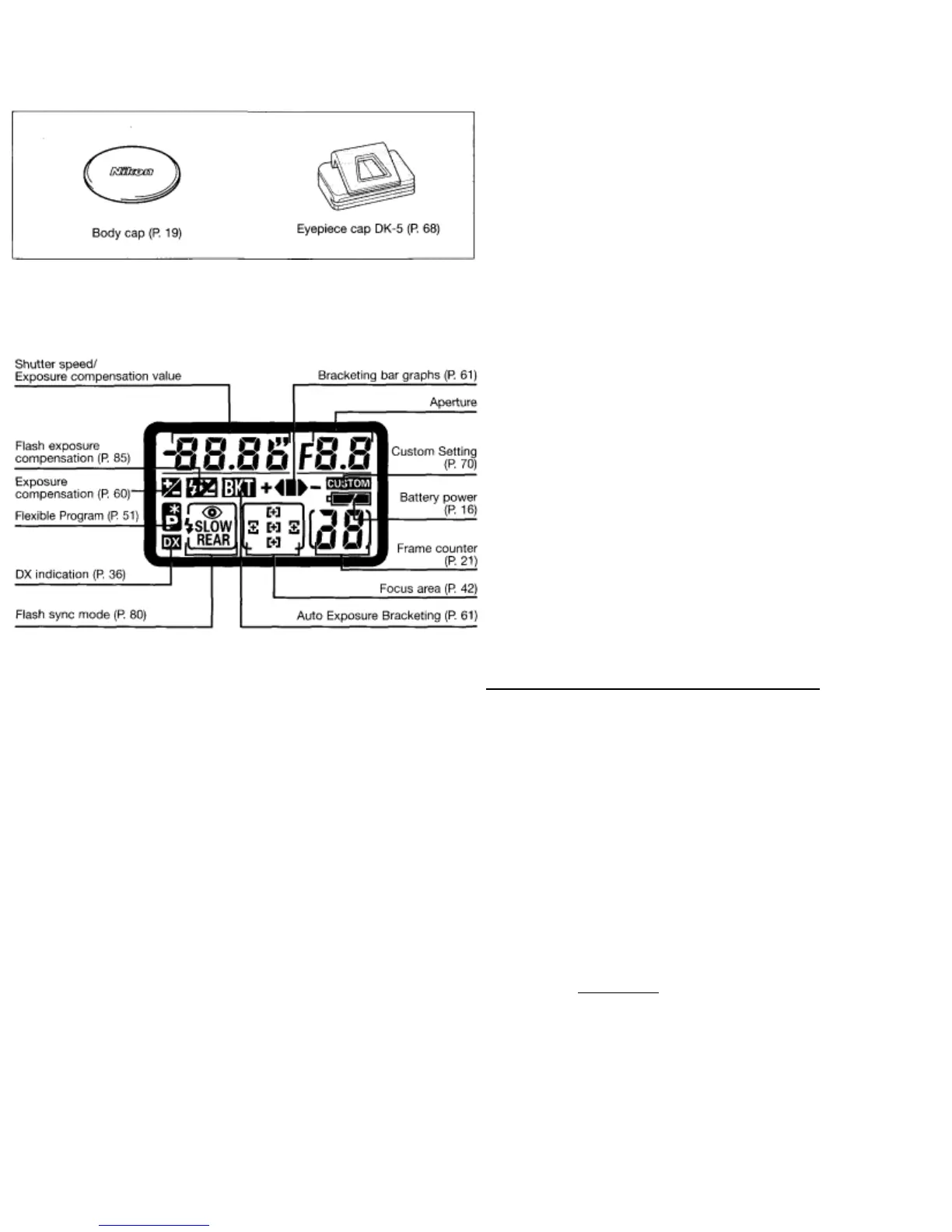 Page #2 background image