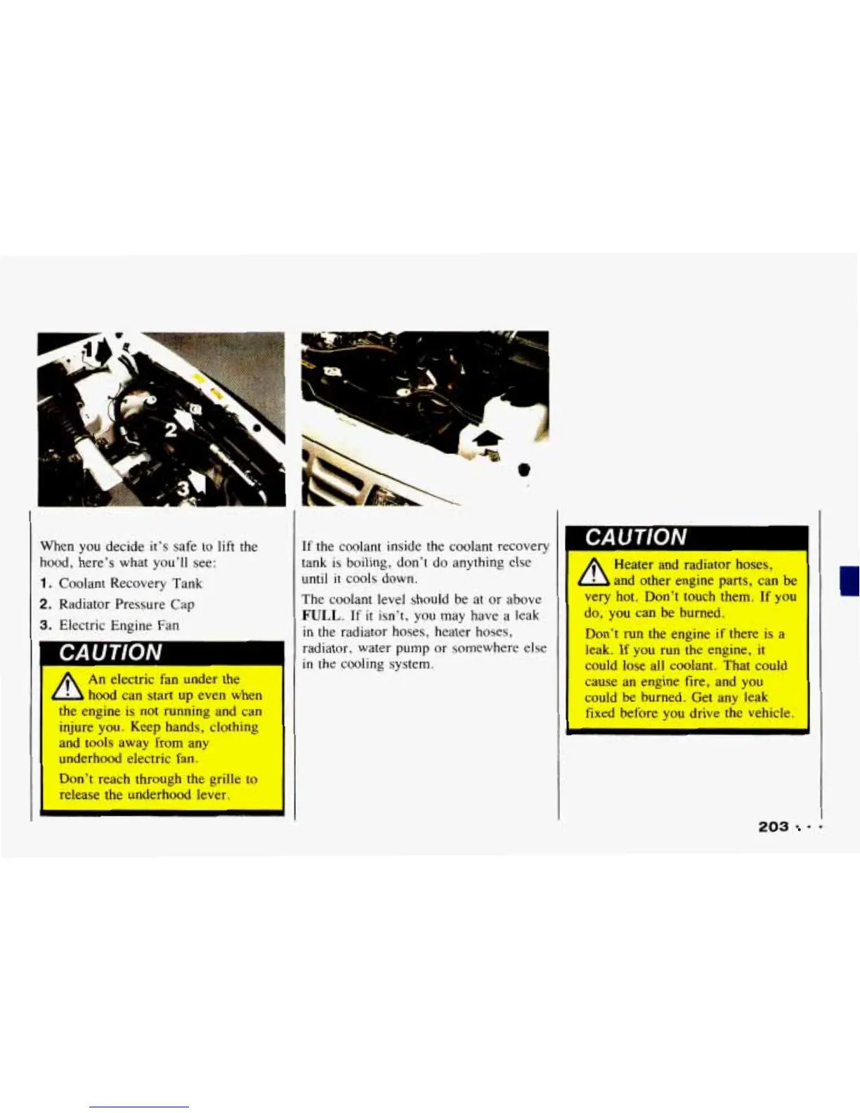 Page #205 background image