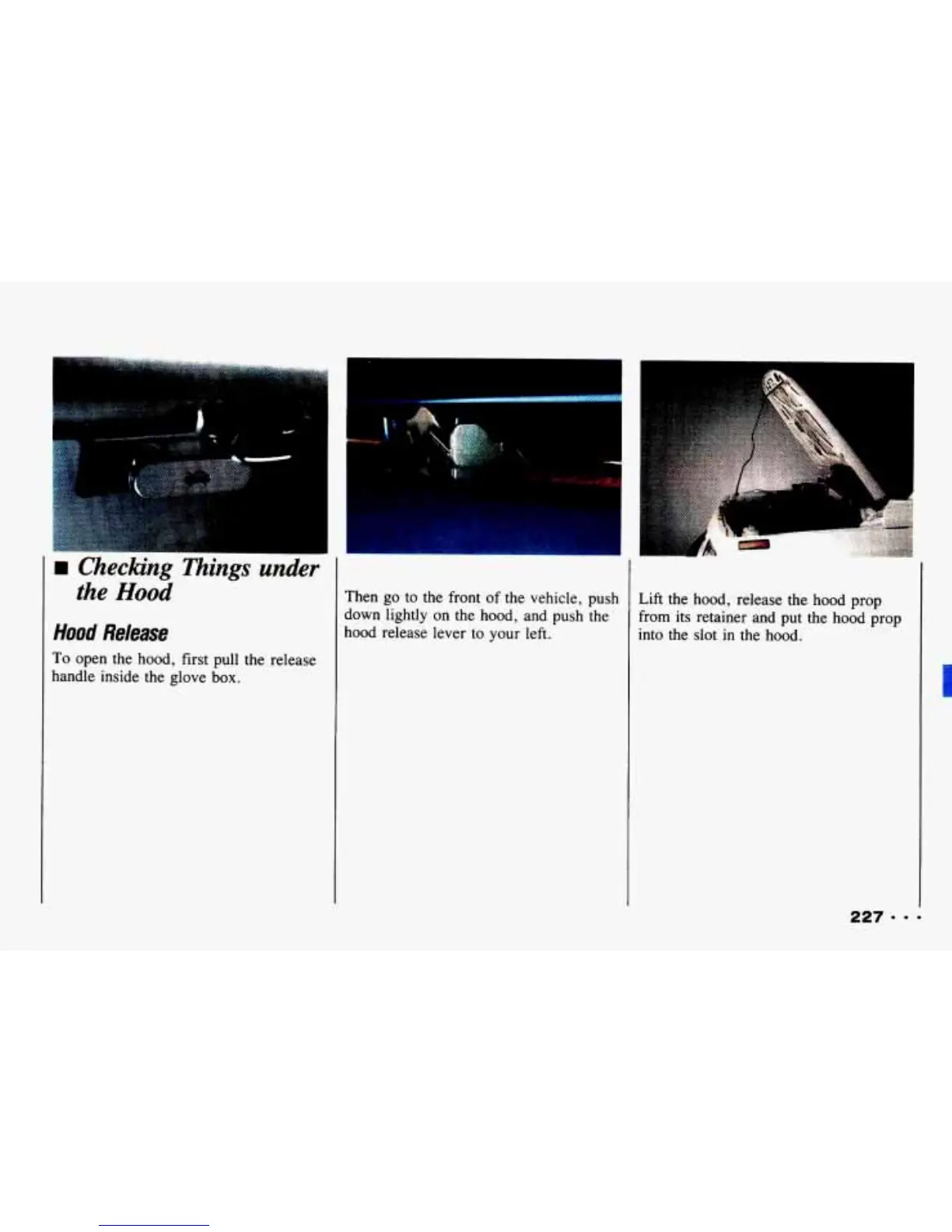 Page #229 background image