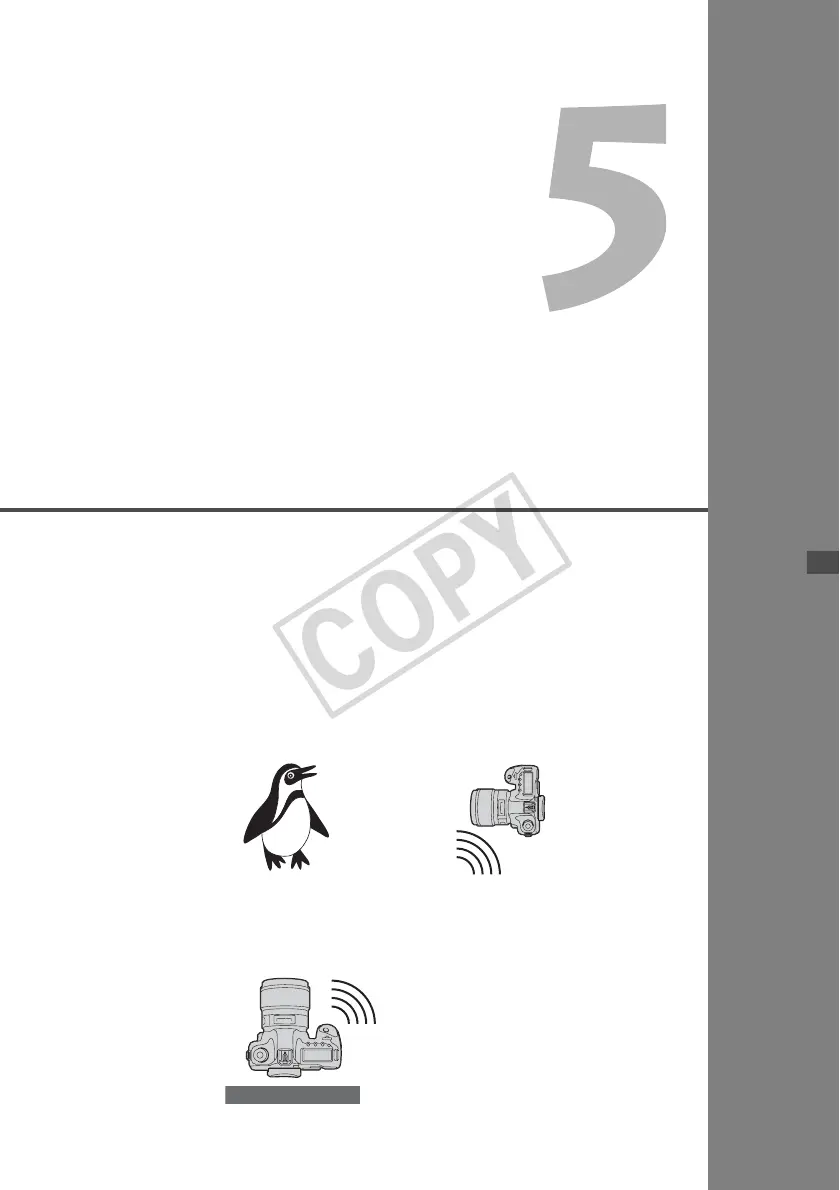 Page #65 background image