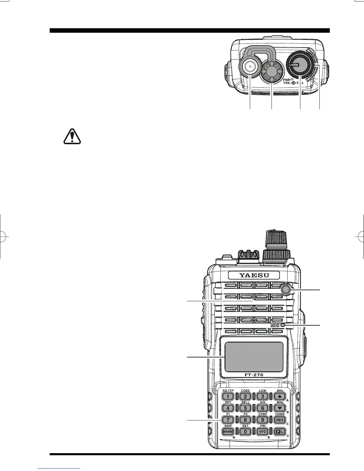 Page #7 background image
