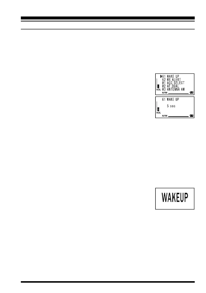 Page #67 background image