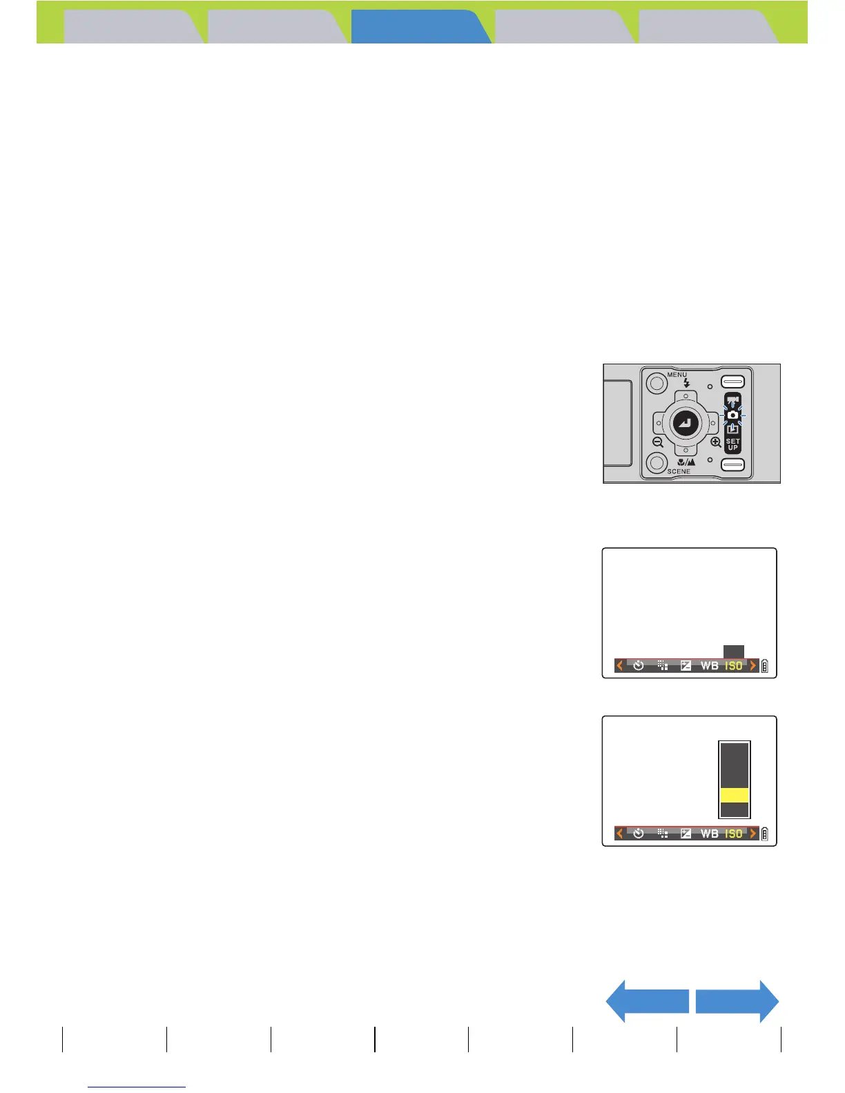 Page #66 background image
