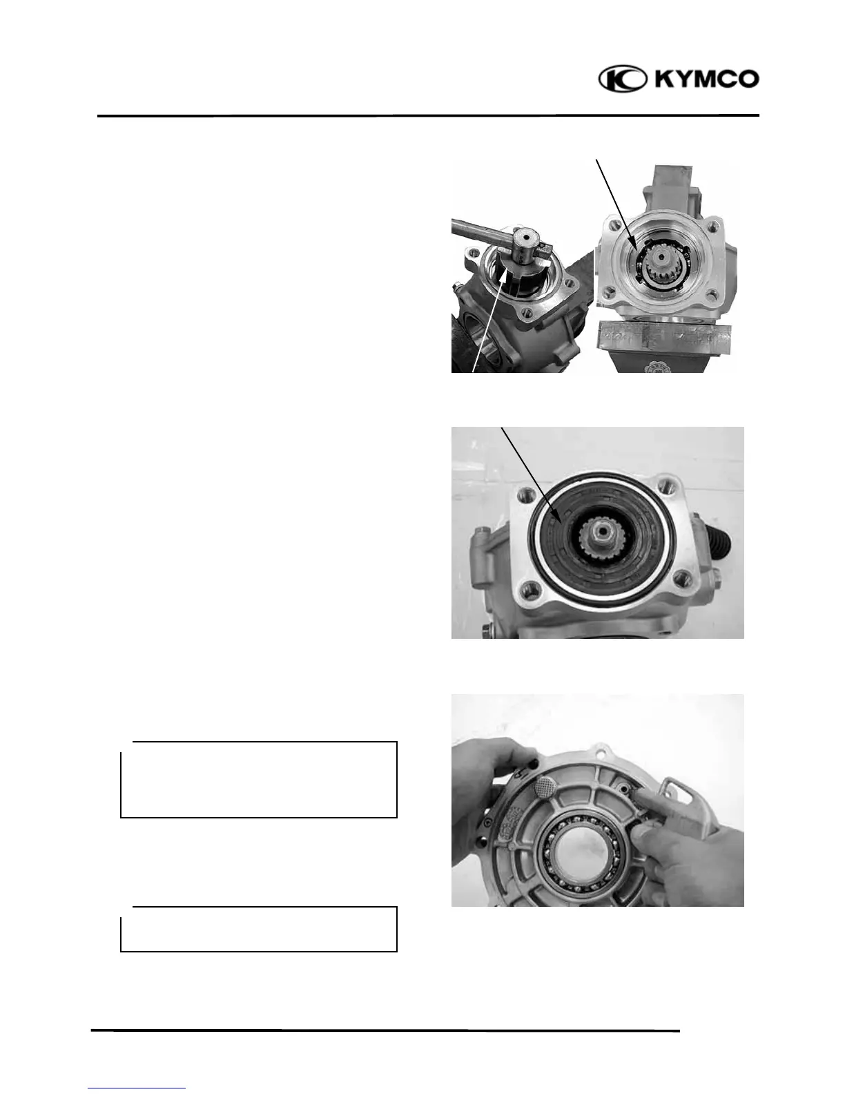Page #305 background image