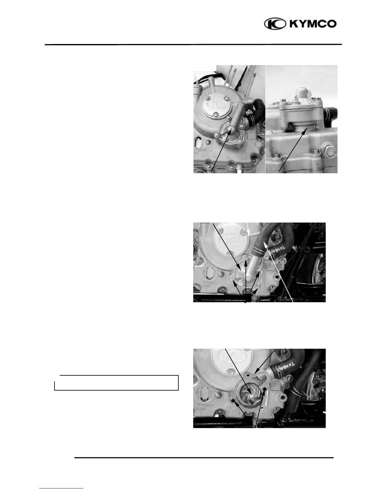 Page #215 background image