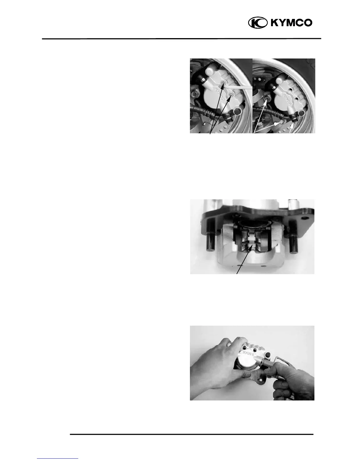 Page #231 background image
