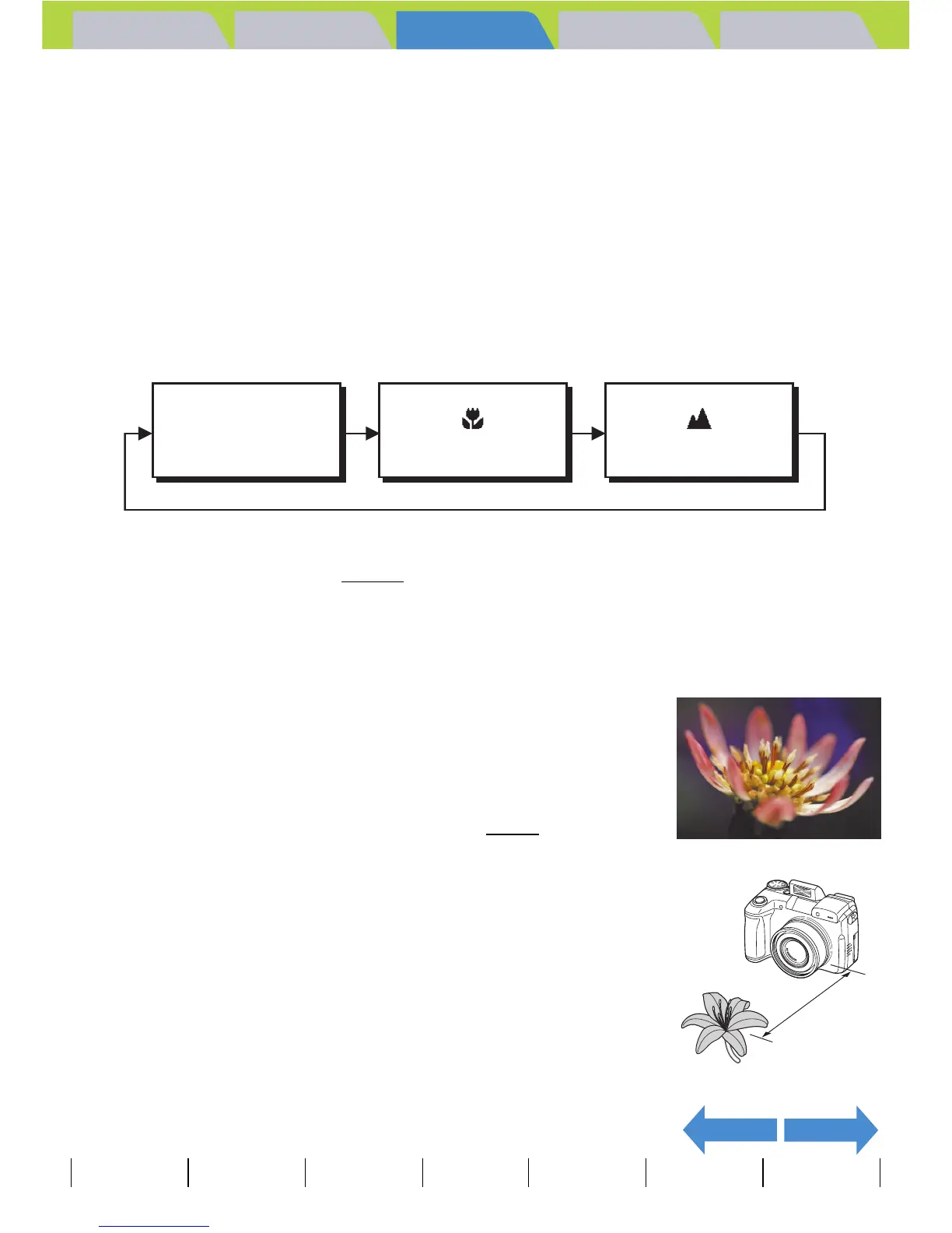 Page #44 background image