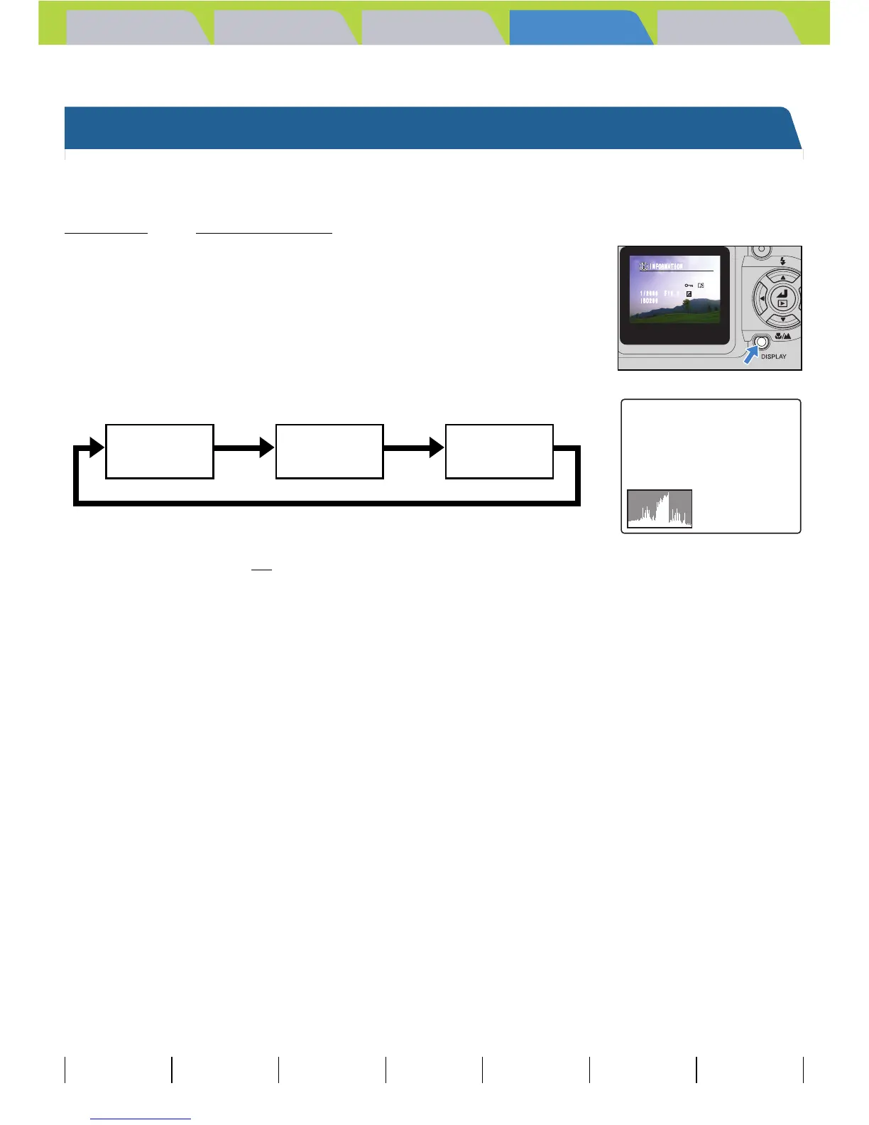 Page #101 background image