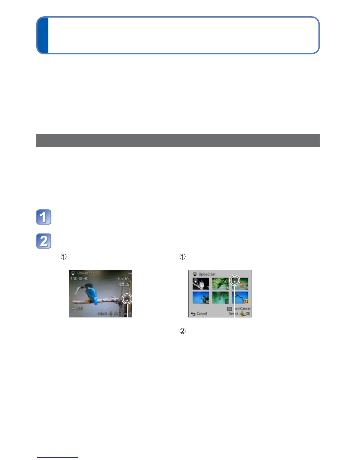 Page #117 background image