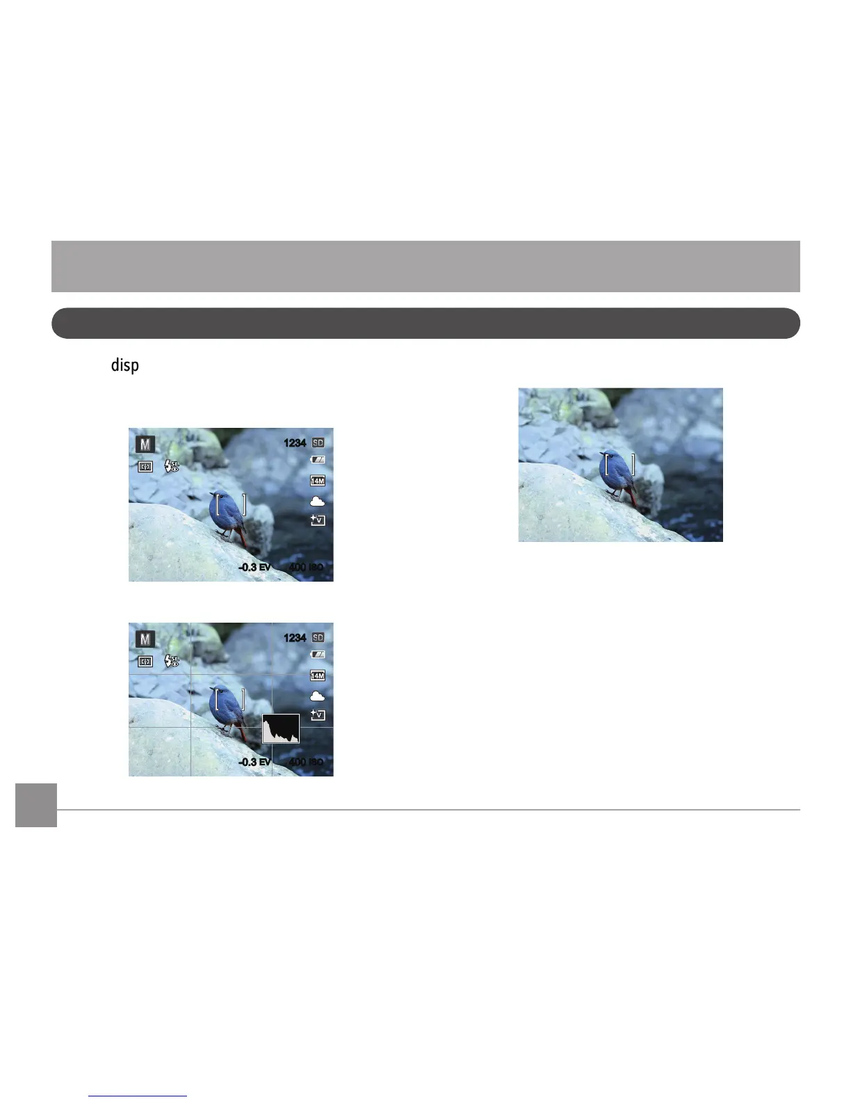 Page #19 background image