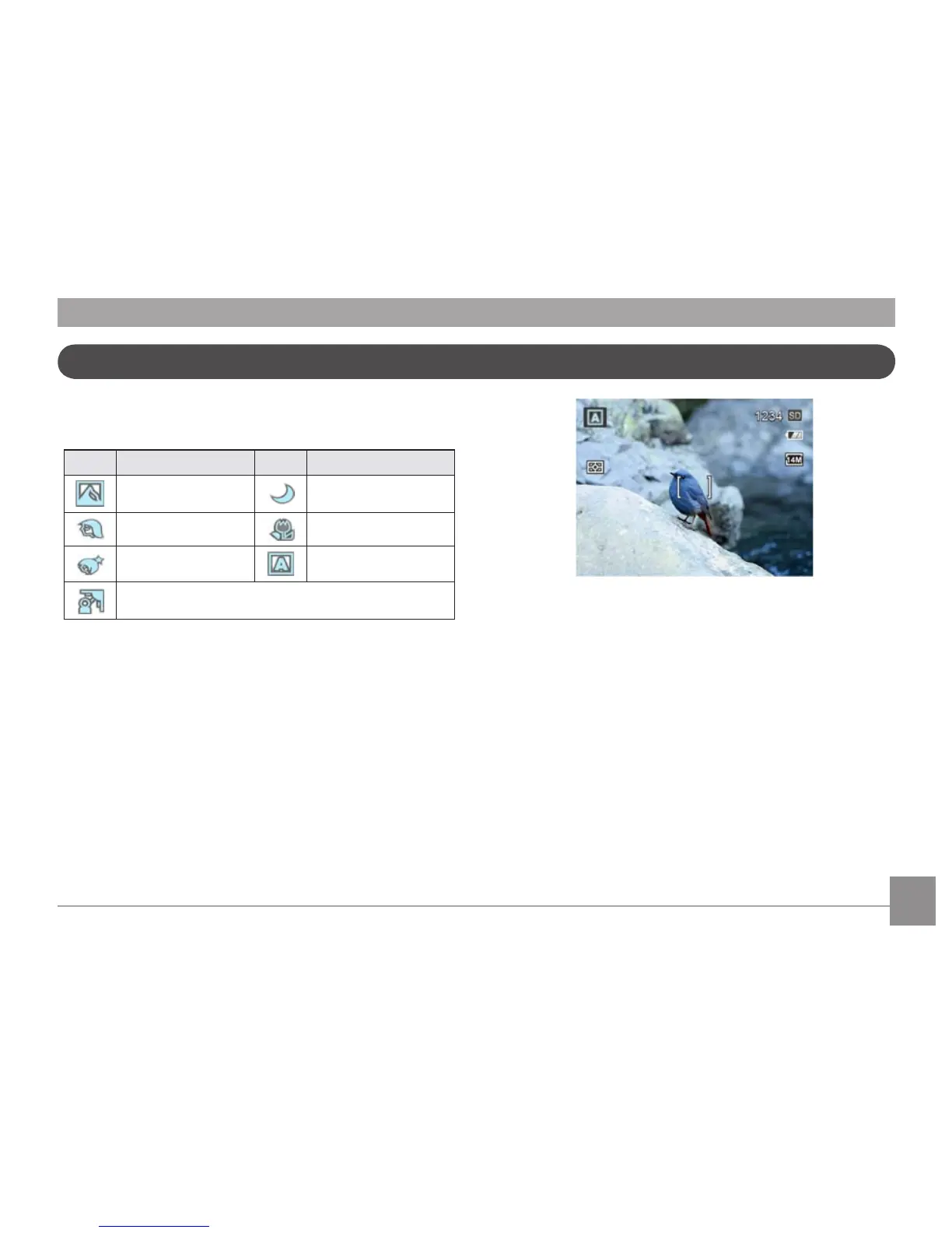 Page #30 background image