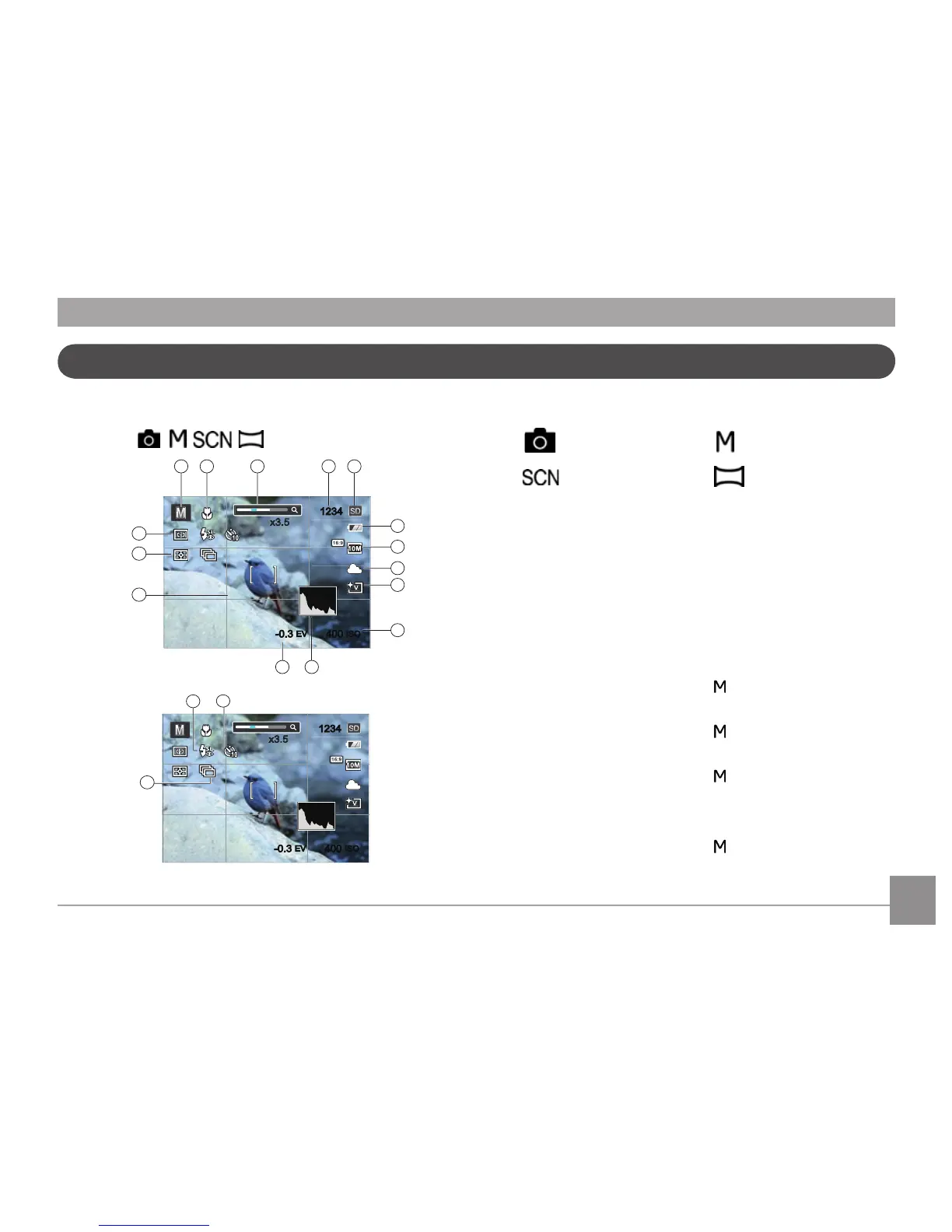 Page #20 background image